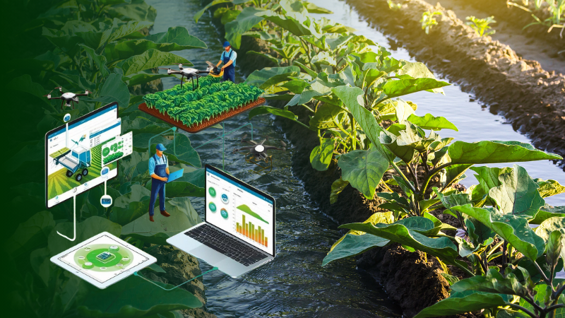 Solagris giải pháp CANH TÁC HỮU CƠ
