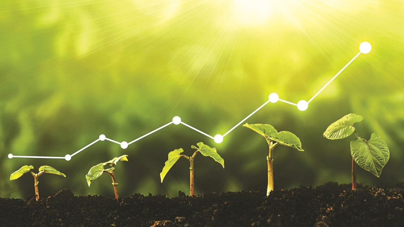 Solagris Năm 2026, chuyển đổi xanh không còn là lựa chọn