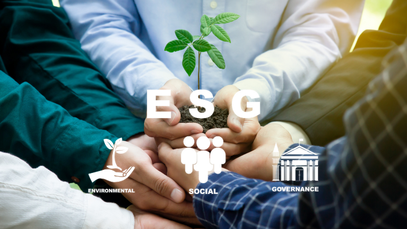 Solagris Phát triển bền vững ESG là gì? 8 bước triển khai ESG trong doanh nghiệp